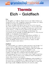 Elch - Goldfisch.pdf